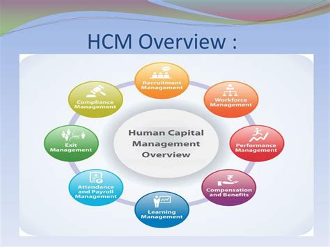 Vaera human capital solutions Human Capital Solutions